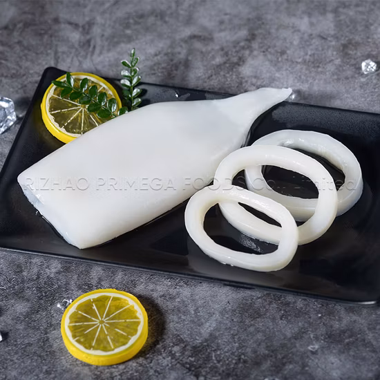 冷凍イカ 獣医用ストリングリング付き 高品質健康シーフード Lllex 巨大イカ製品 日本のイカ